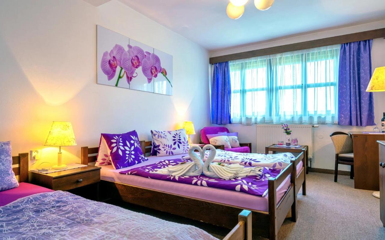 Hotel Stara Skola Na Sumave Hořice na Šumavě Eksteriør billede