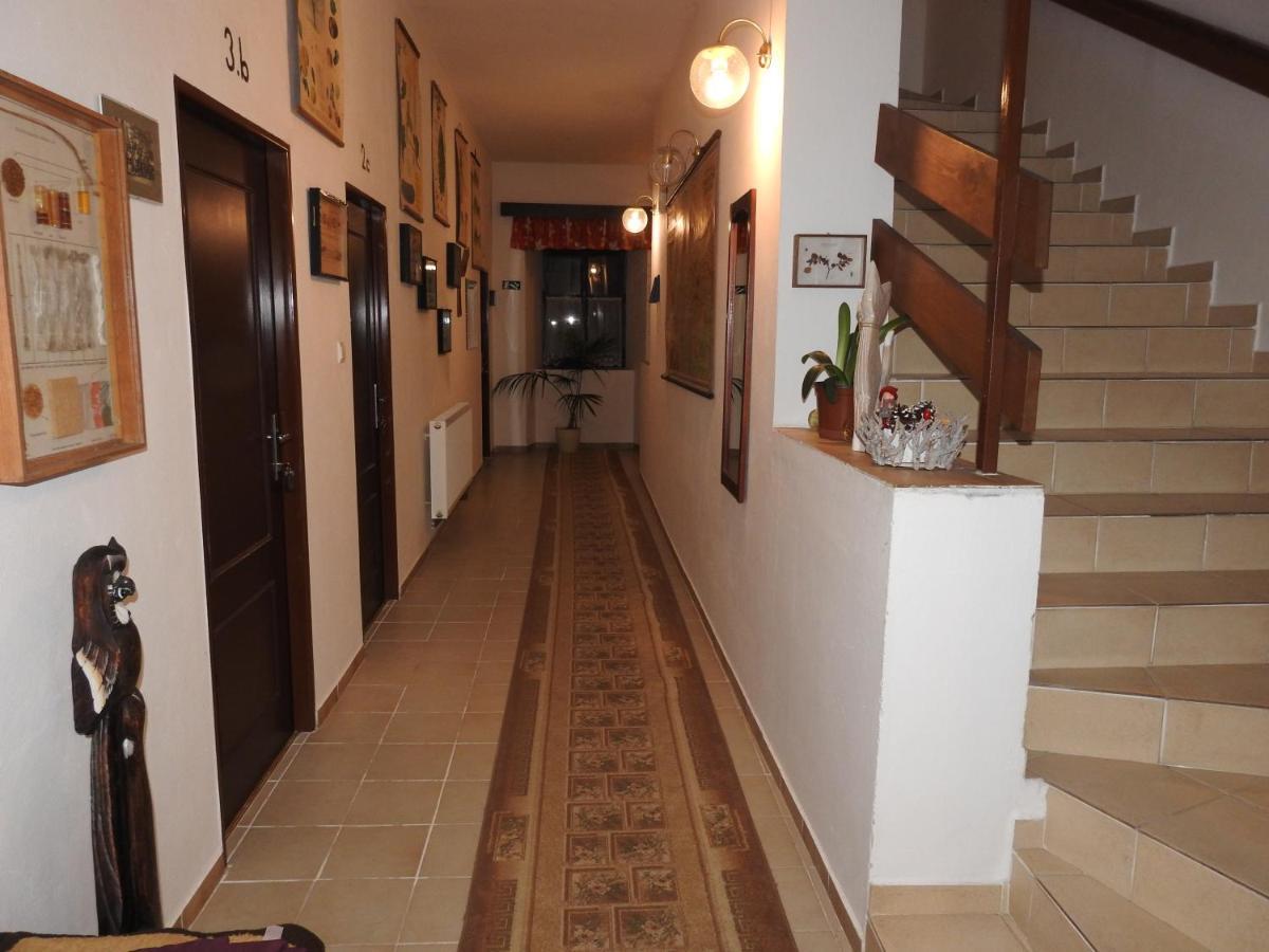Hotel Stara Skola Na Sumave Hořice na Šumavě Eksteriør billede