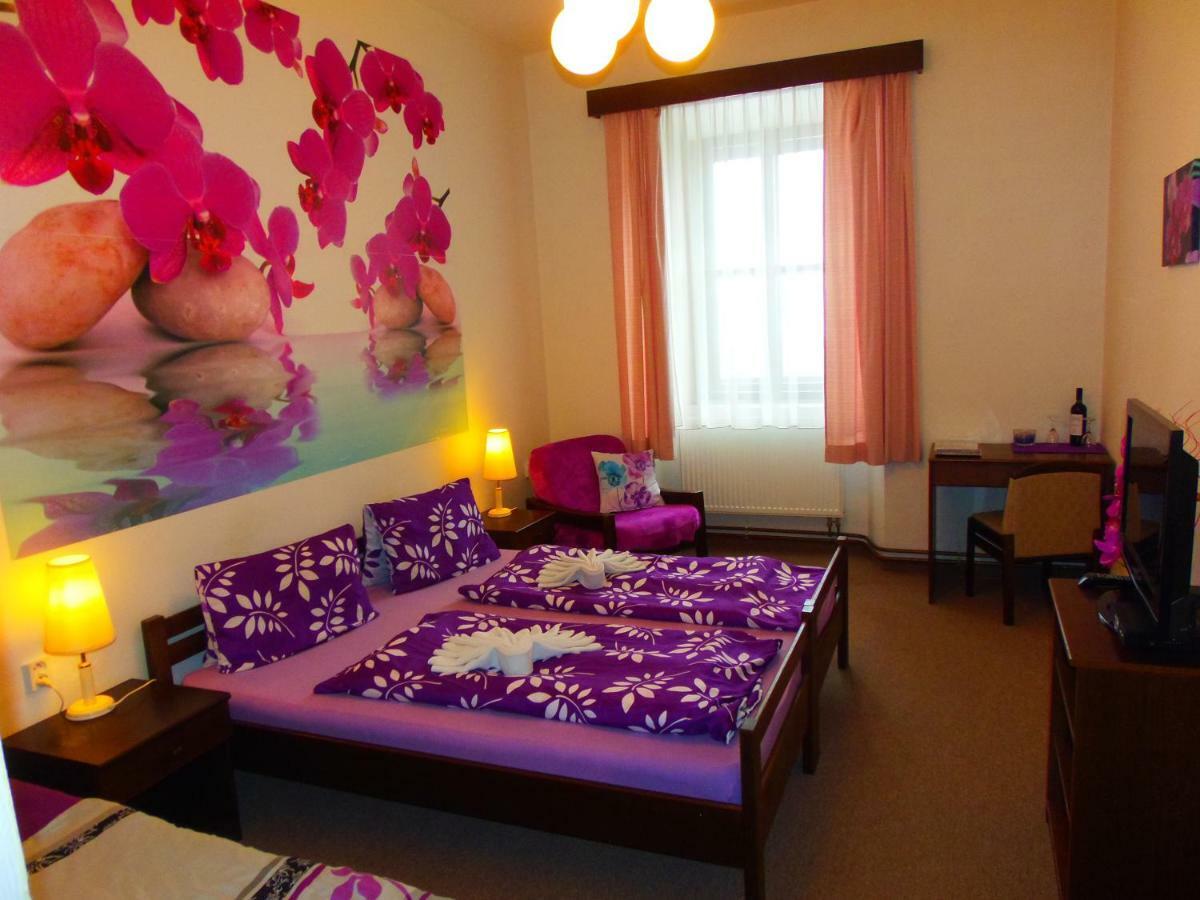 Hotel Stara Skola Na Sumave Hořice na Šumavě Eksteriør billede